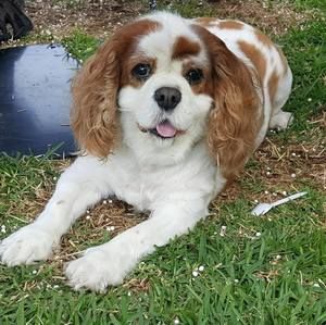 Meet your Posher, Janet